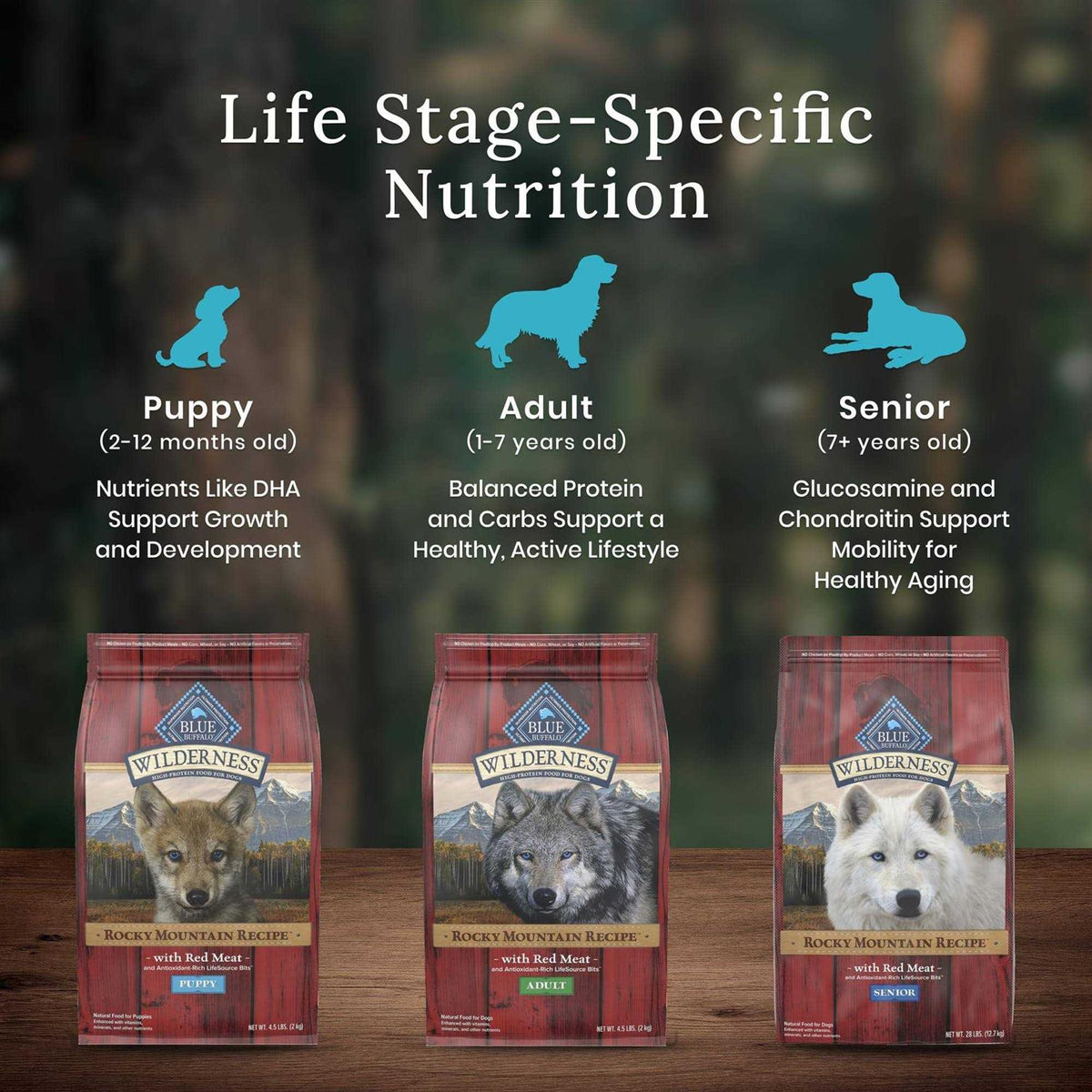 High Protein Natural Senior Dry Dog Food Q33296
