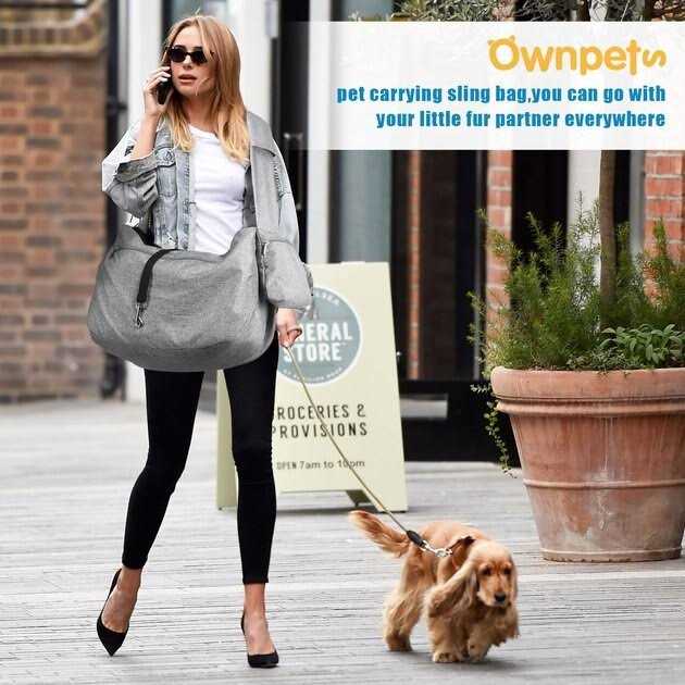 Dog & Cat Carrier U874672
