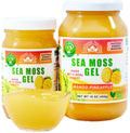 Wildcrafted Irish Sea Moss Gel Mango Pineapple 16 oz T7917