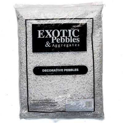 Bean Pebbles N5016