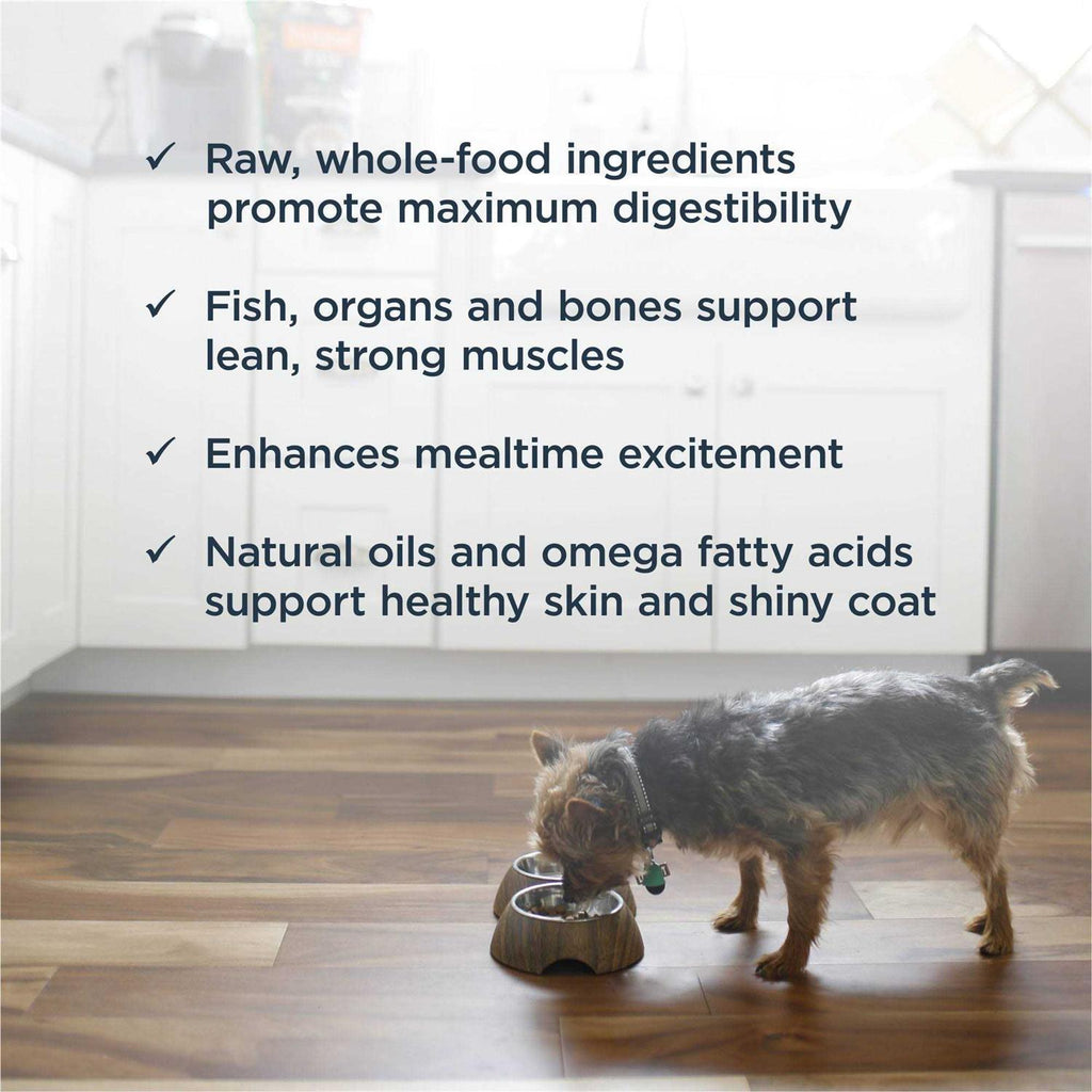 Frozen Raw Dog Food E812590