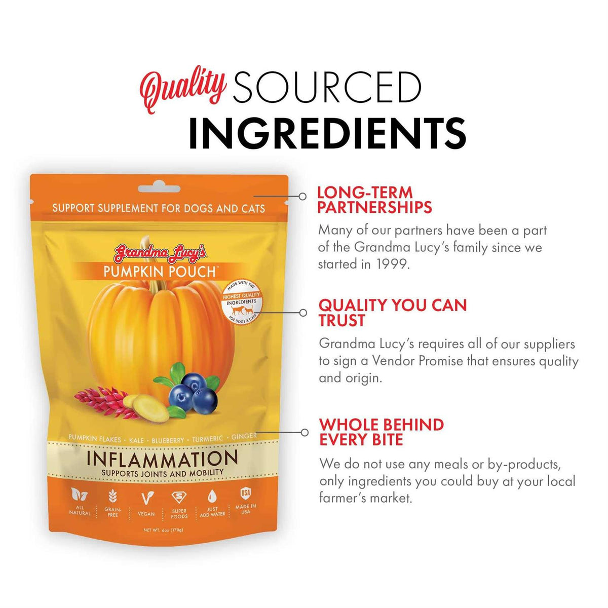 Pumpkin Pouch U560094