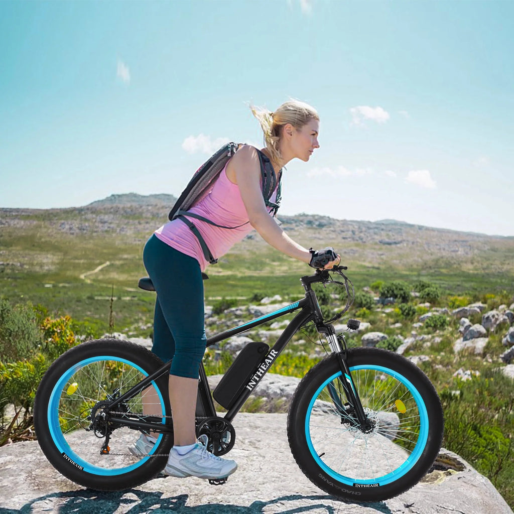 Electric Bike 26 4 Fat Tire 500W 48V 13Ah 7-Speed W483