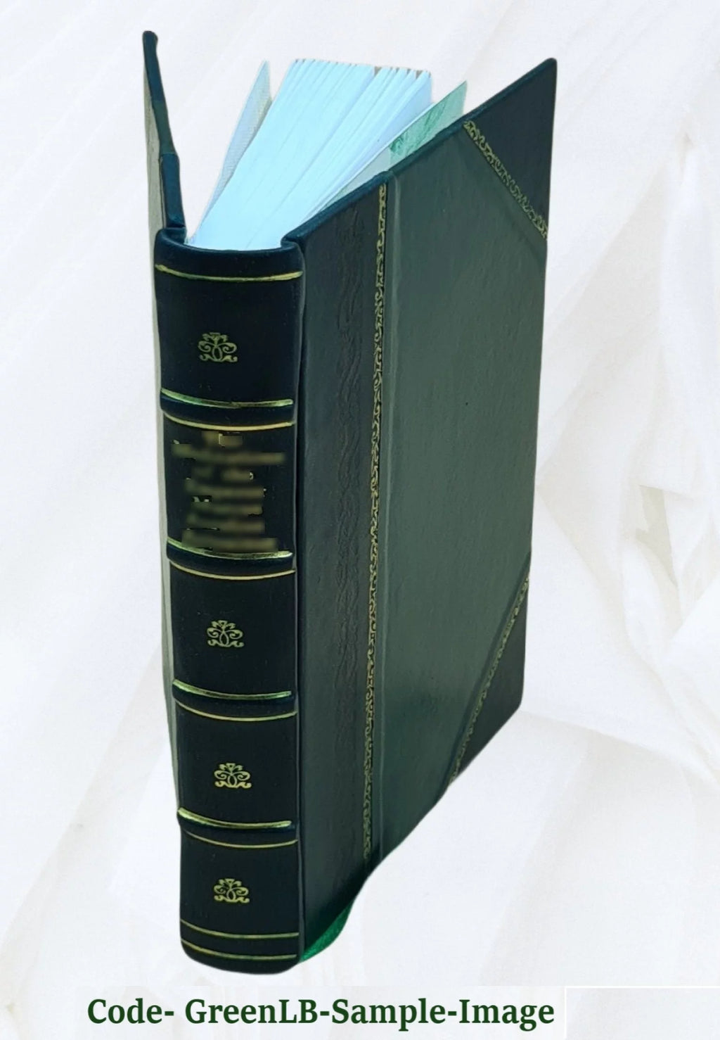 Leather Bound H193434