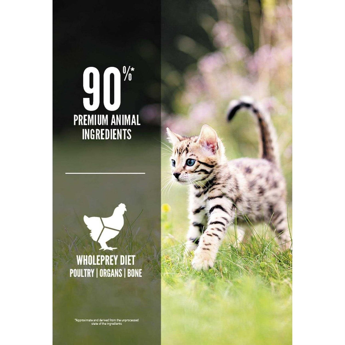 Kitten Dry Cat Food U943949