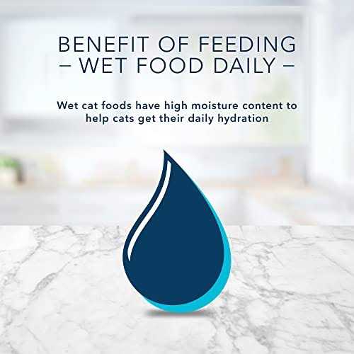 Wet Cat Food F10470