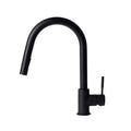 Kitchen Faucet V5691