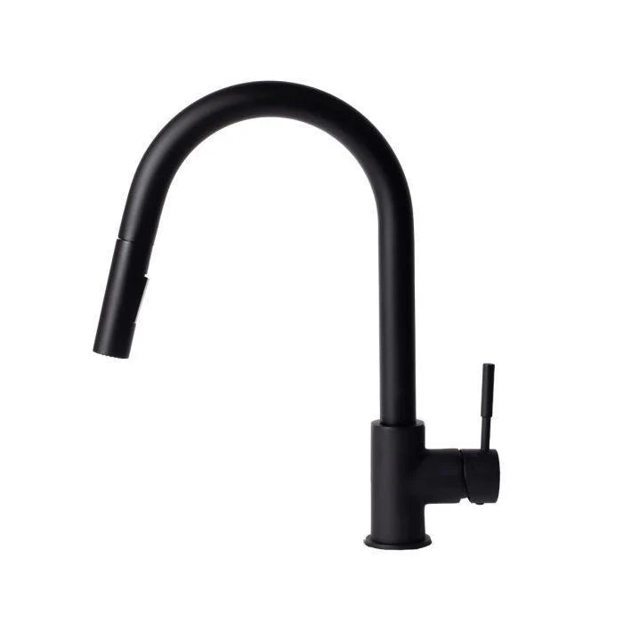 Kitchen Faucet V5691